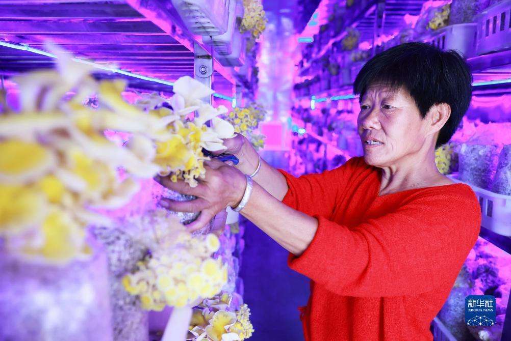 金沙平台怎么把钱隐藏在游戏里面